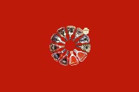 武进回收红酒